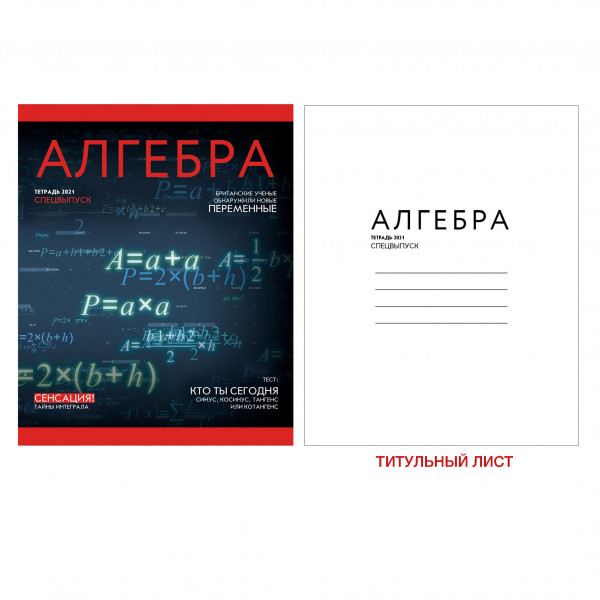 Тетрадь предметная 48л Канц-Эксмо " Journal. Алгебра", скрепка 1/10 арт. ТТ487187