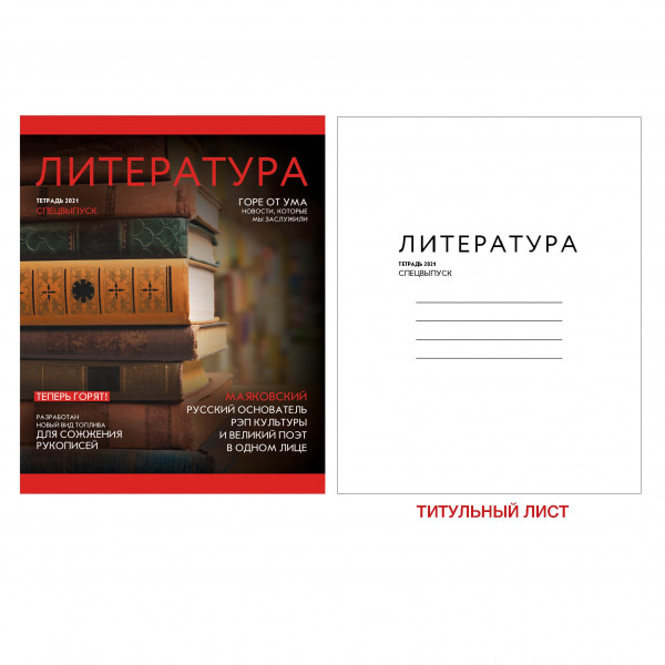 Тетрадь предметная 48 л. Канц-Эксмо " Journal. Литература", скрепка 1/10 арт. ТТ487191