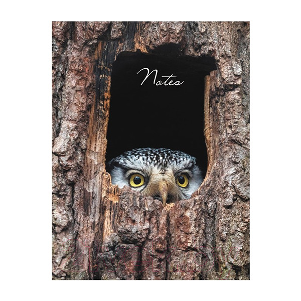 Книга для записей А6 48 л клетка "Канц-Эксмо Owl" 7БЦ тв. обл.,глян. лам. 1/32 арт. КЗ6483537